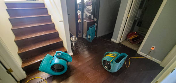 Best Water damage restoration near me  in Yukon, OK